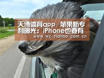 天博体育app-苹果新专利曝光:iPhone也要有手写笔了?(图2) 天博体育官网