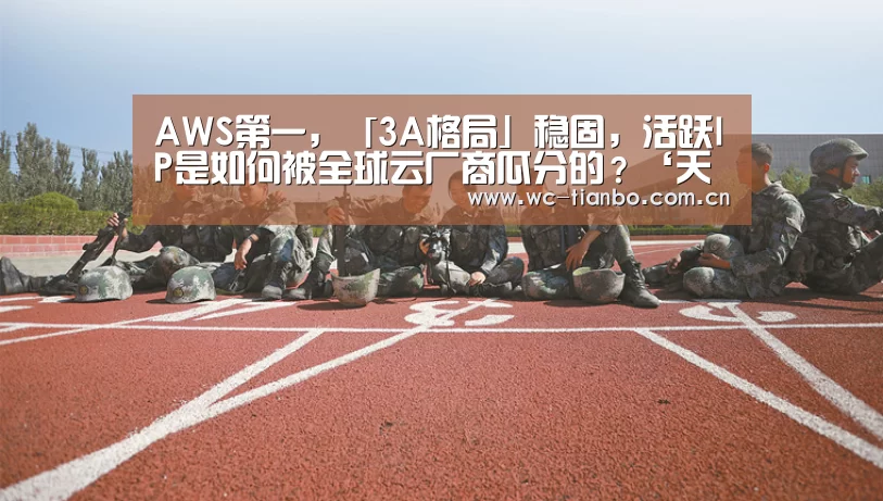 AWS第一,「3A格局」稳固,活跃IP是如何被全球云厂商瓜分的?‘天博体育’(图3) 天博官方