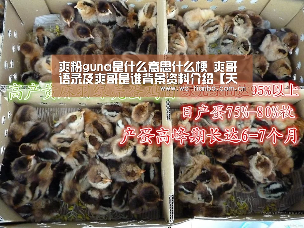 天博官方